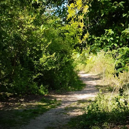 Luxe Op De Veluwe * Ermelo