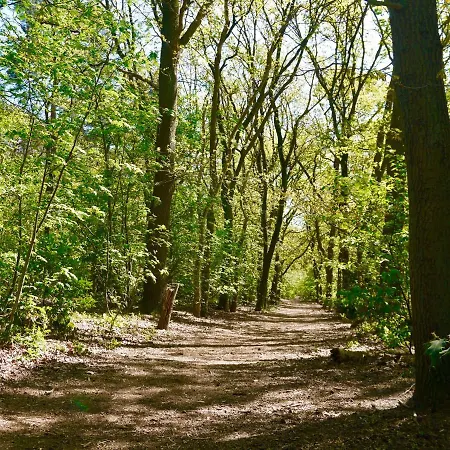 Luxe Op De Veluwe Tatil Evi