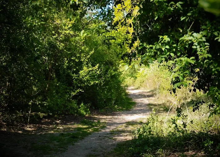 Luxe Op De Veluwe * Ermelo