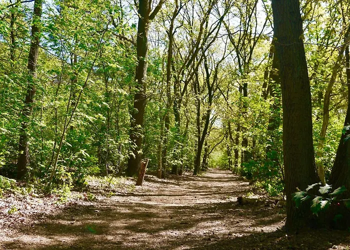 Luxe Op De Veluwe Tatil Evi
