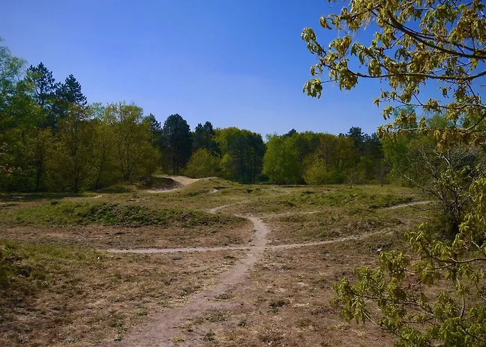 Tatil Evi Luxe Op De Veluwe Ermelo
